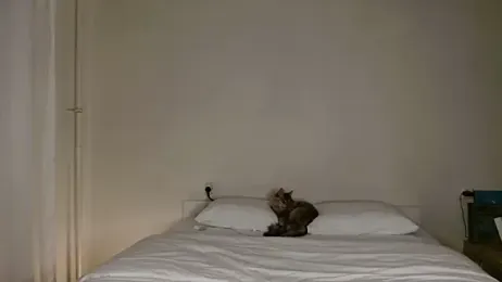 Milky___Way webcam stripchat model stream image