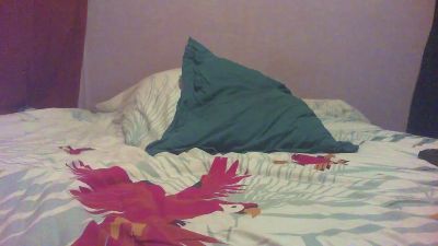 XeliaeclypseX webcam model stream image