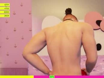 systaime webcam model stream image