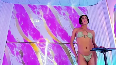 The_Hot_Ts_Dolls webcam stripchat model stream image