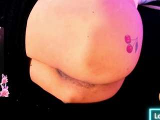 rosedewitt webcam model stream image