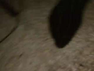 showingoff402 webcam camsoda model stream image