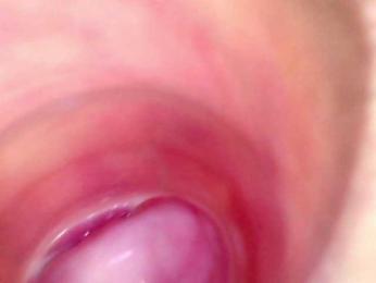 Shannon-kane webcam bongacams model stream image