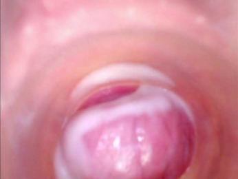 Shannon-kane webcam model stream image