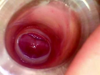 Shannon-kane webcam bongacams model stream image