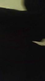 kvst5 webcam model stream image