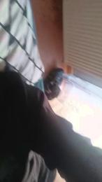 kvst5 webcam model stream image