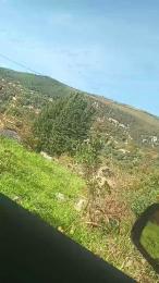 Petitebombe34 webcam model stream image