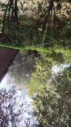 Petitebombe34 webcam model stream image