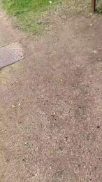 Petitebombe34 webcam model stream image