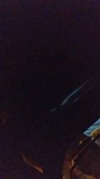 Petitebombe34 webcam model stream image