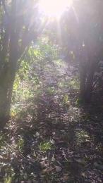 Petitebombe34 webcam model stream image