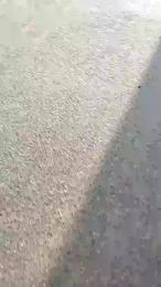 luxxuriax webcam model stream image