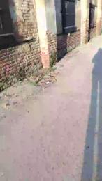 luxxuriax webcam model stream image