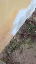 luxxuriax webcam model stream image