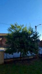 luxxuriax webcam model stream image