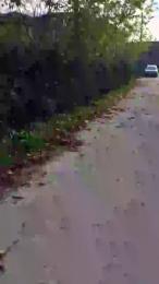 luxxuriax webcam model stream image