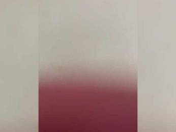 PornoRabbits webcam model stream image