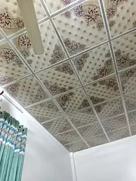 Dil-Ka-Radhika webcam model stream image