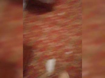 BonnieandClyde1008love webcam model stream image