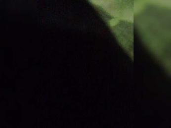 BonnieandClyde1008love webcam model stream image