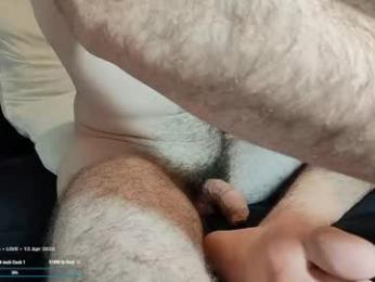 hiddengaze webcam model stream image