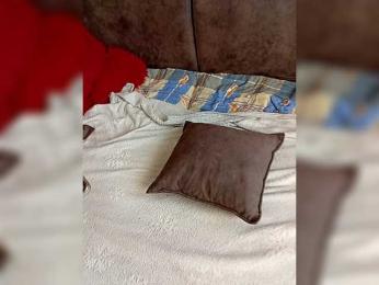 dimasiktrackdriver webcam model stream image