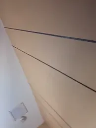 Toffee-00 webcam model stream image