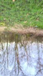 Mirsad_42 webcam cam4 model stream image