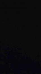 Mirsad_42 webcam cam4 model stream image