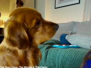 x_lily_x webcam model stream image