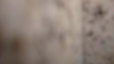 pet_bras webcam model stream image