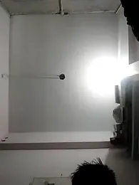 Mafiya1604 webcam model stream image