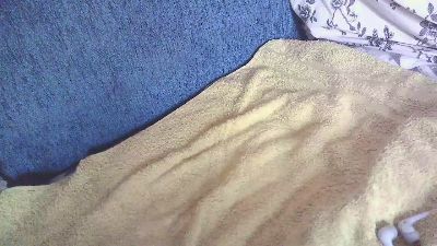 FIBAS_78 webcam model stream image