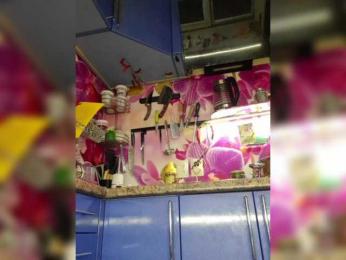 MS-86 webcam model stream image