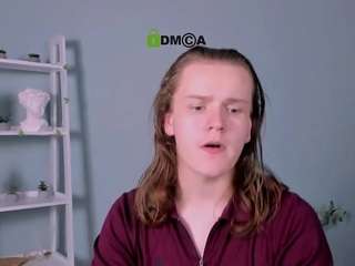 leo-void webcam model stream image