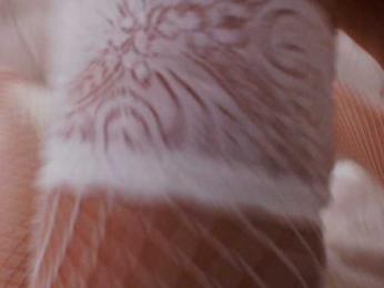 malushka1 webcam model stream image