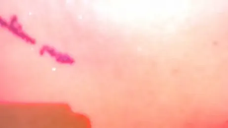 LILLITH_ON webcam model stream image