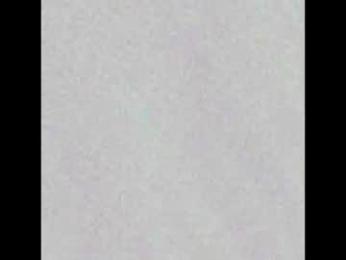 wildbelladonnats webcam model stream image