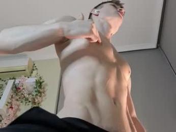 viksons webcam model stream image