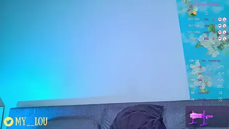 MyLoulaby webcam model stream image