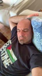 Pmi79 webcam model stream image