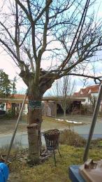 Lichterengel webcam model stream image