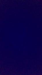 DarLynAss webcam model stream image