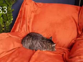 waynenorth webcam model stream image