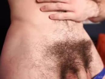 waynenorth webcam model stream image