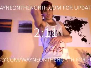 waynenorth webcam chaturbate model stream image