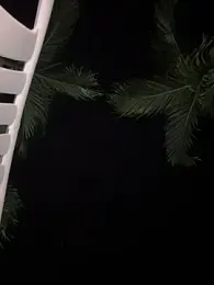 LAURA_VANESA webcam model stream image