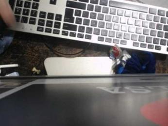 jazmin-mature webcam model stream image