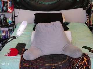 savethebea webcam model stream image